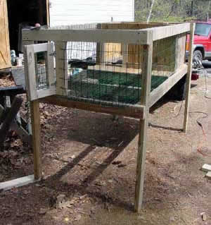 Building a Puppy Palace for Beagles.