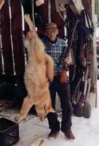 NH&nbsp;Coyote Hunting