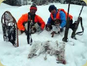Lets go snowshoe hare hunting!