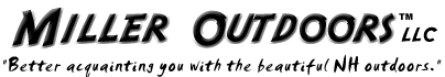 Miller Outdoors :: Guide Service&nbsp;&&nbsp;Registered Beagles :: NH Hunting Guide