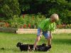 cameron_pups_planter.jpg