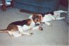 katie_annie_playing3.jpg