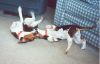 katie_annie_playing4.jpg