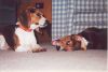 katie_annie_playing6.jpg