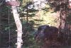 lookout_rock_jackson.jpg