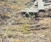 hare_crossing_trail.jpg