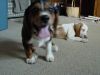 brandy_suzy_inside01.jpg